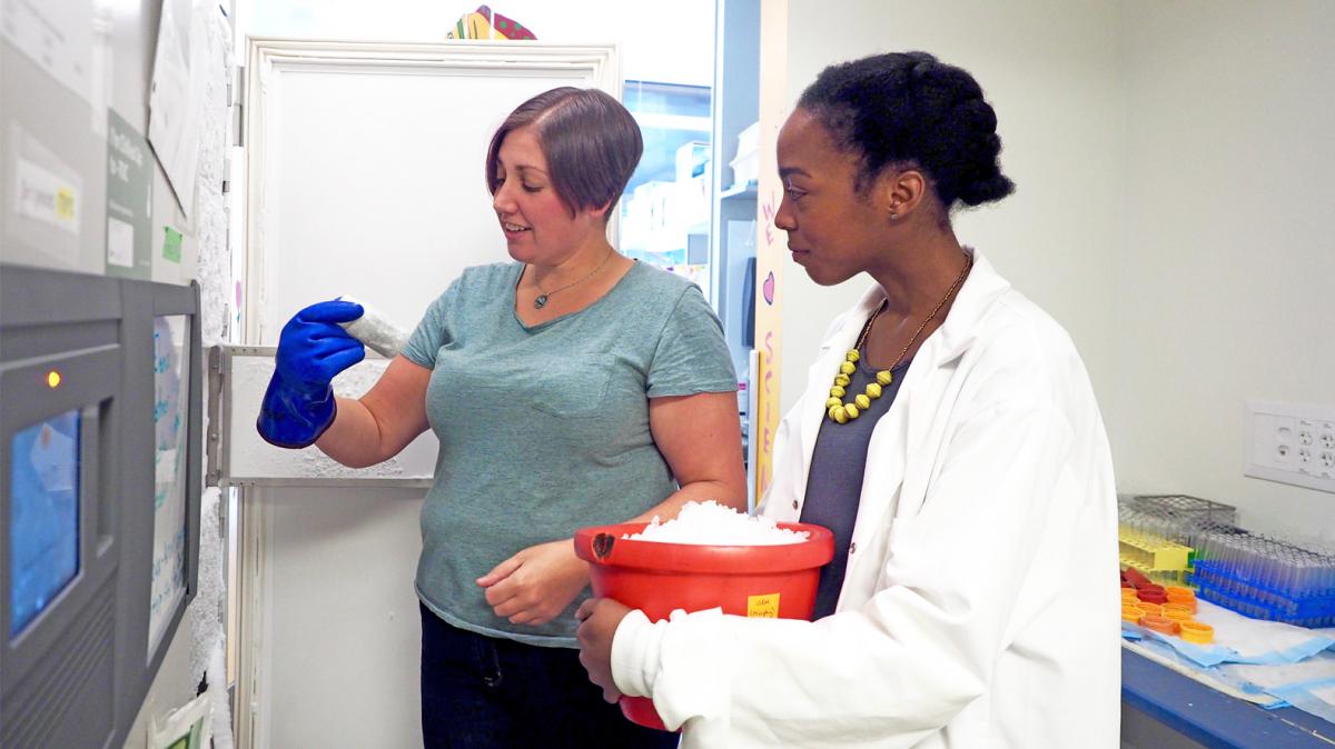 Jade Shiller shows a student a ULT freezer