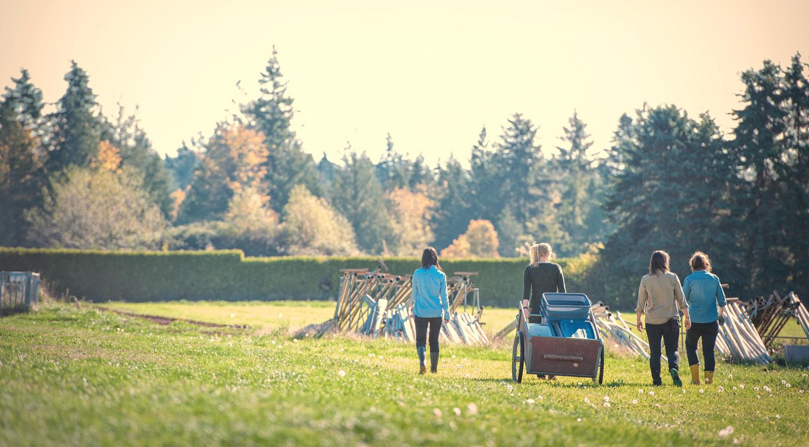 Four farm workers walking towards the horizon in a field at UBC Farm