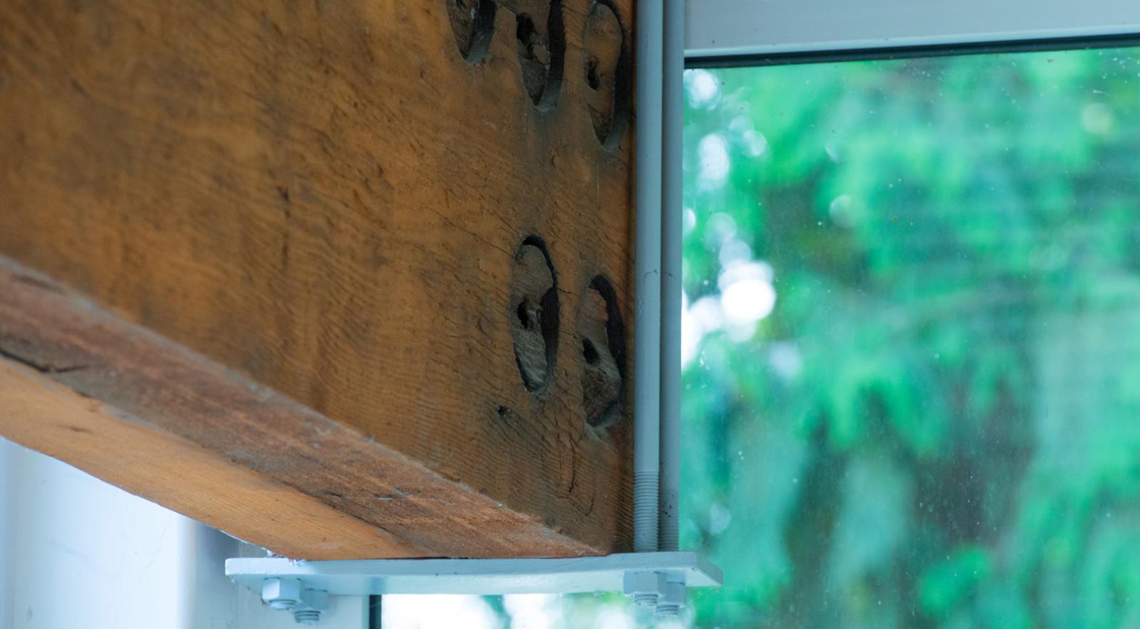 Sustainable Building Materials