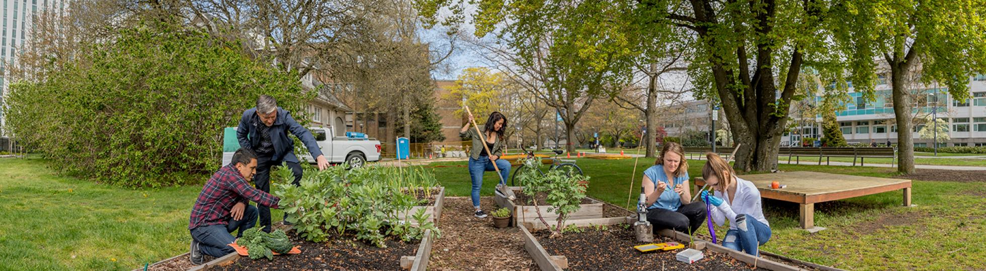 Seeds Sustainability Program