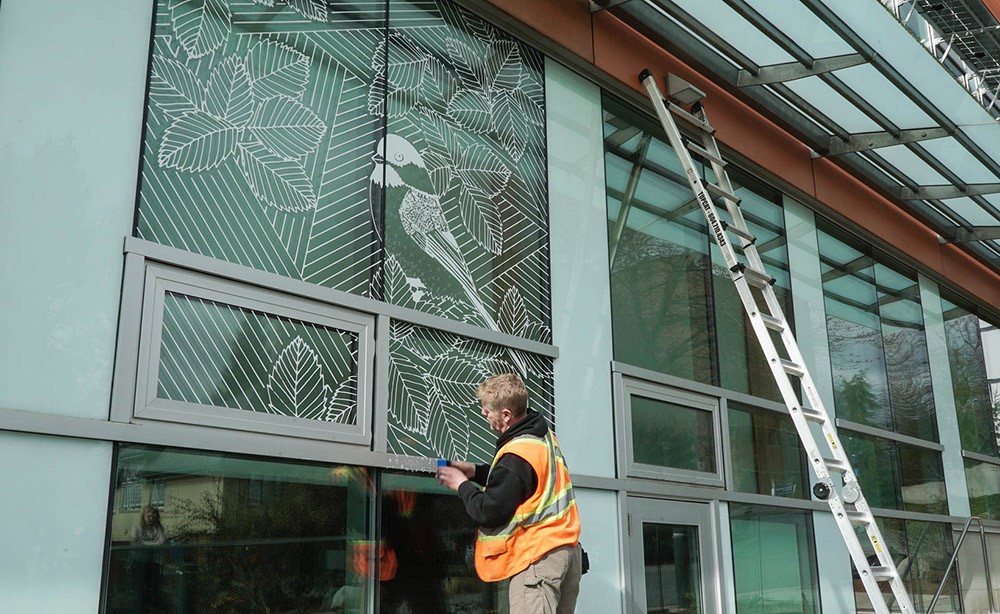 Window art is installed outside the Loop Cafe. Photo by Corim De Guzman.